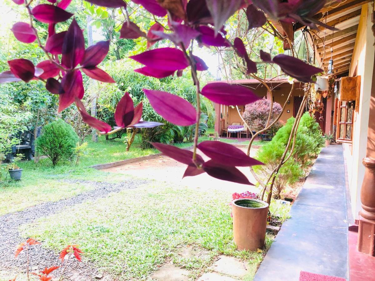 Sigiriya Nature Villa Lodge Экстерьер фото