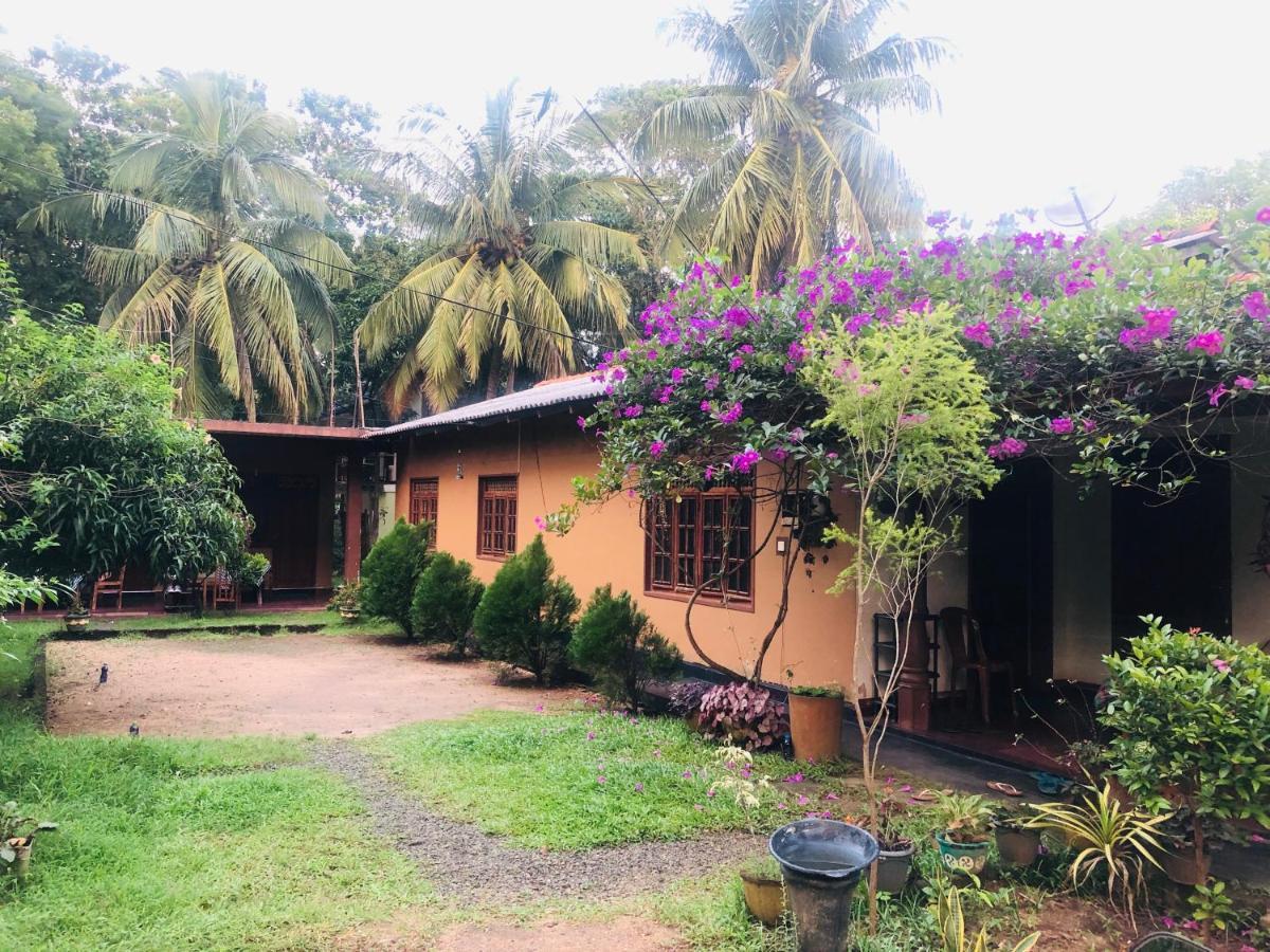Sigiriya Nature Villa Lodge Экстерьер фото