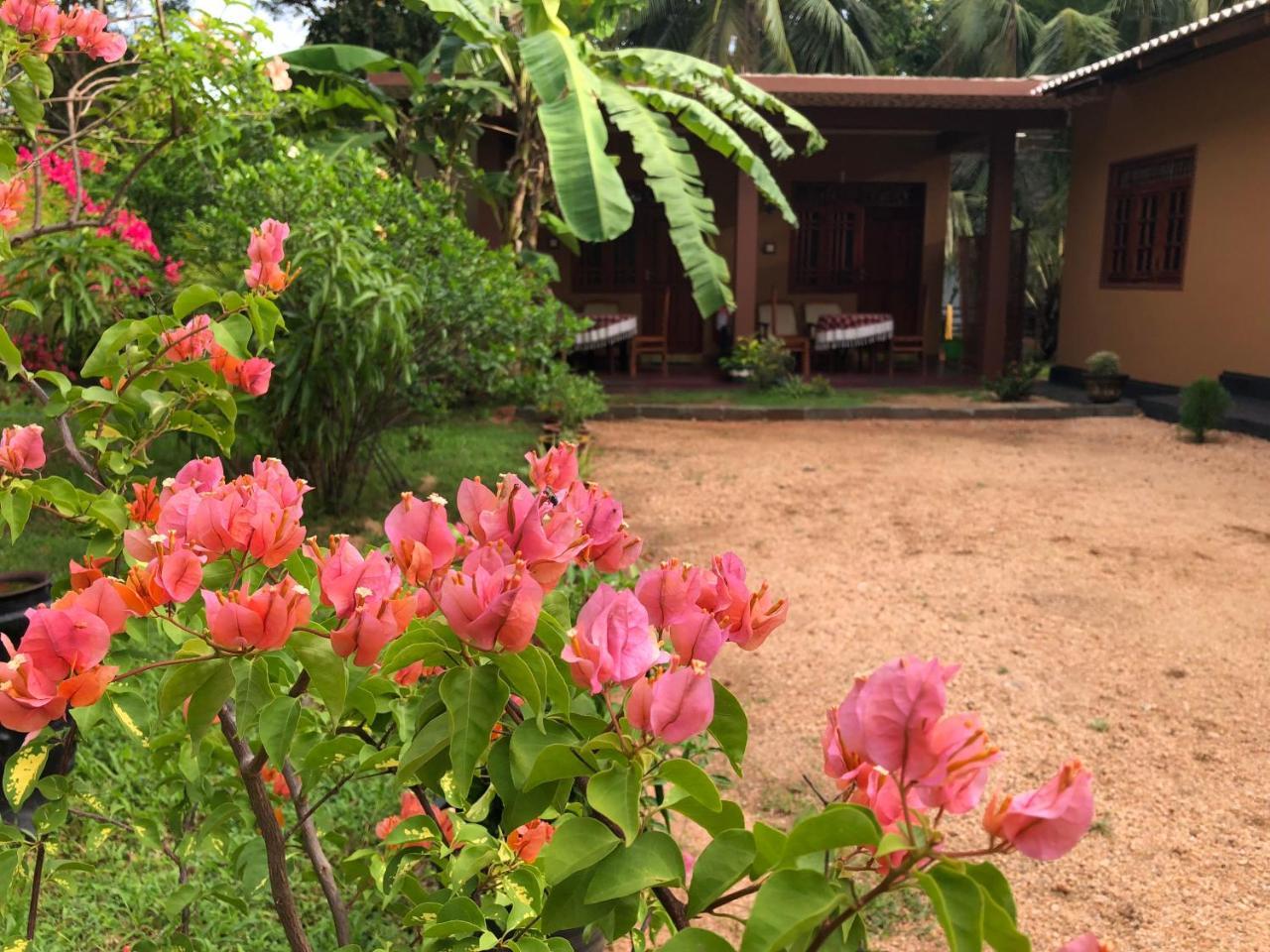 Sigiriya Nature Villa Lodge Экстерьер фото