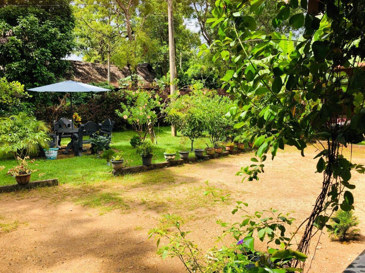 Sigiriya Nature Villa Lodge Экстерьер фото