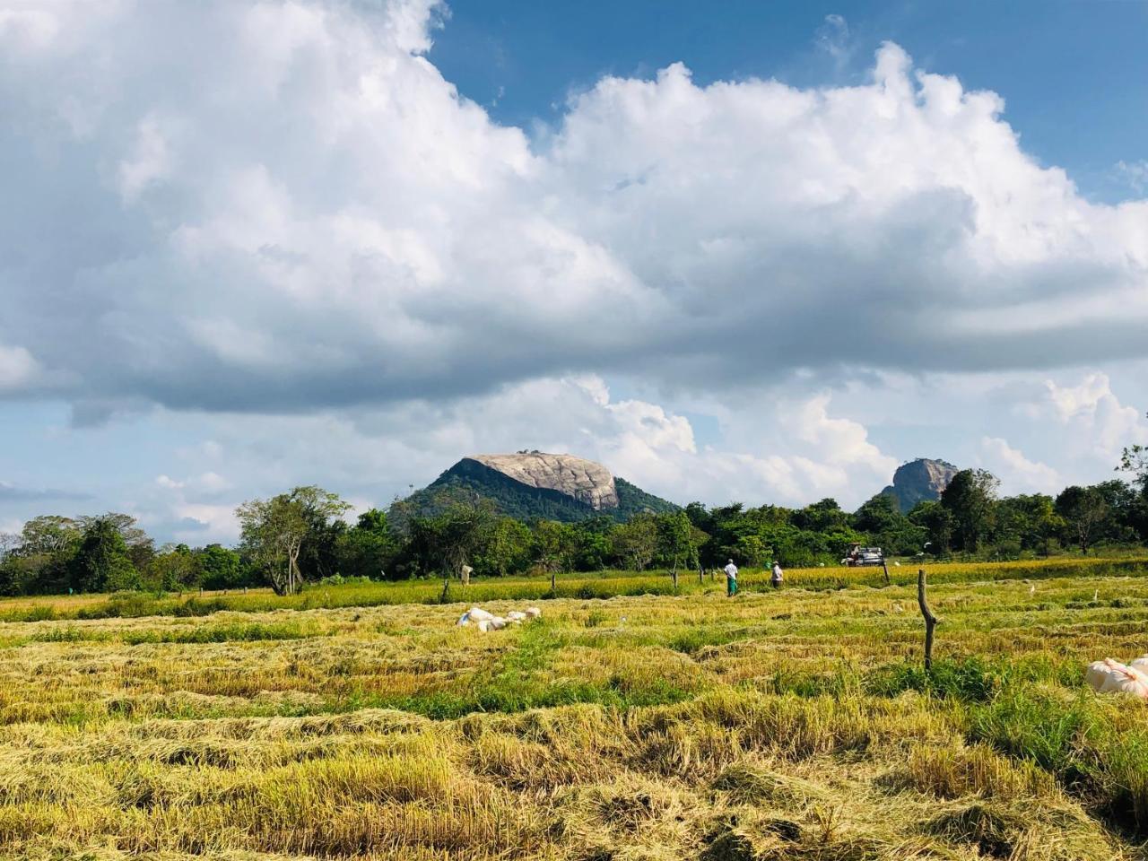 Sigiriya Nature Villa Lodge Экстерьер фото