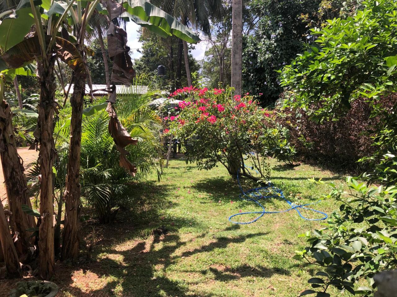 Sigiriya Nature Villa Lodge Экстерьер фото