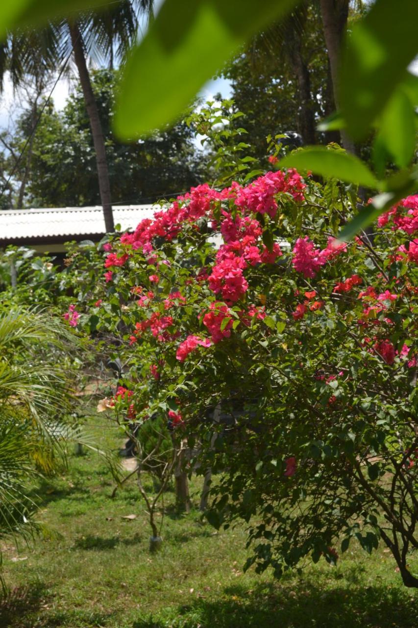 Sigiriya Nature Villa Lodge Экстерьер фото