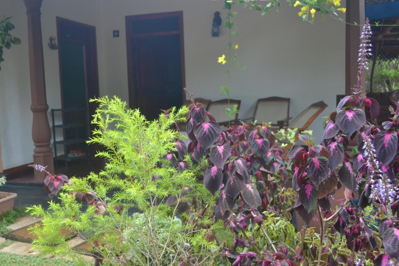 Sigiriya Nature Villa Lodge Экстерьер фото